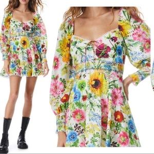 NWT Alice + Olivia | Crawford Eyelet Smocked Long Sleeve Cotton Minidress | 12